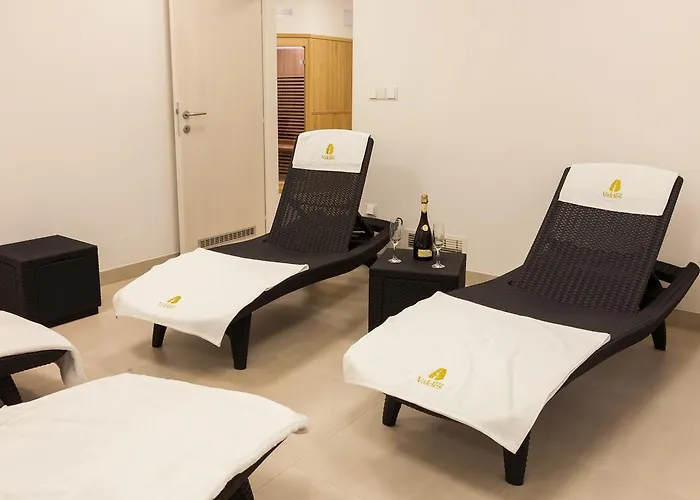 Valdes ホテル Loučná nad Desnou