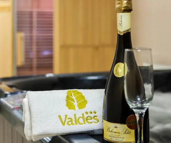 ホテル Valdes Loučná nad Desnou